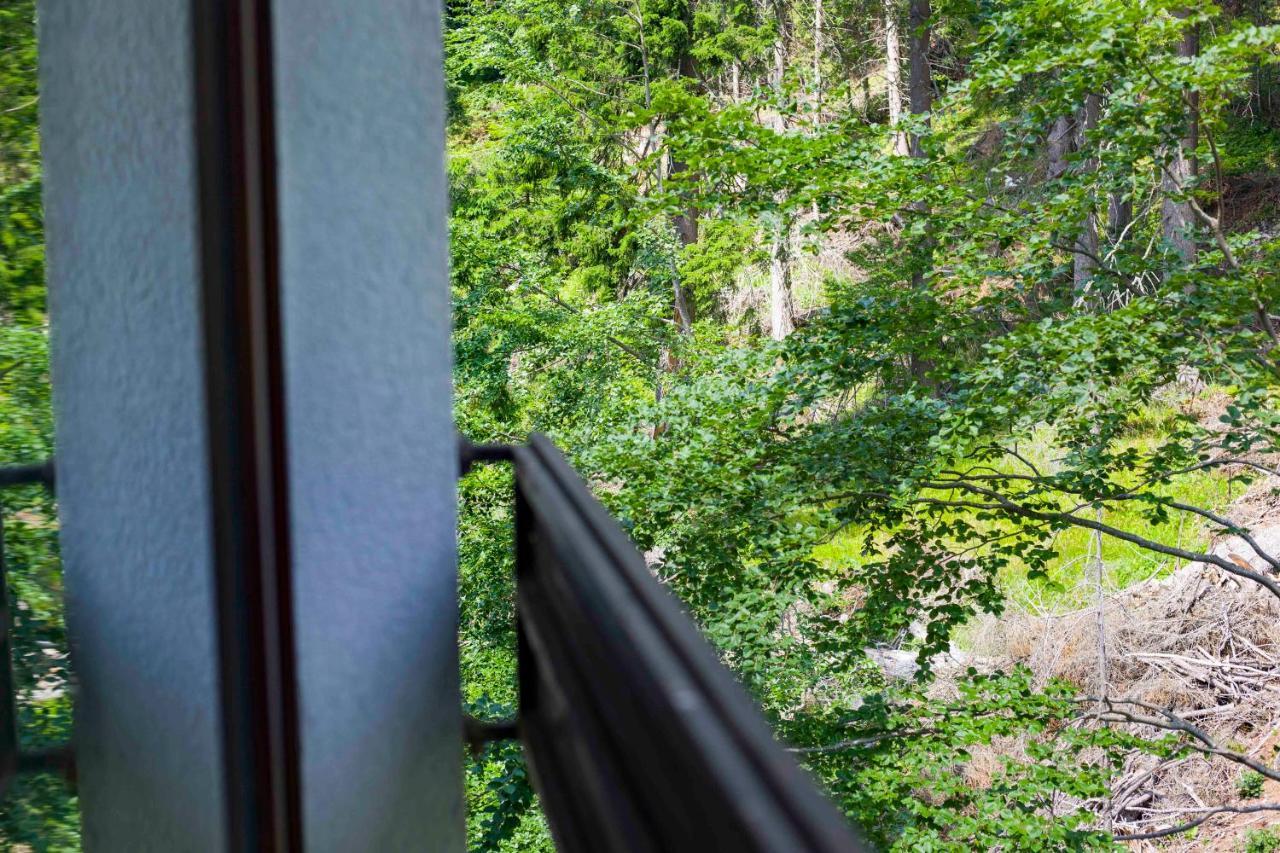 Forest Dream Apartment - Elit Pamporovo Exterior photo