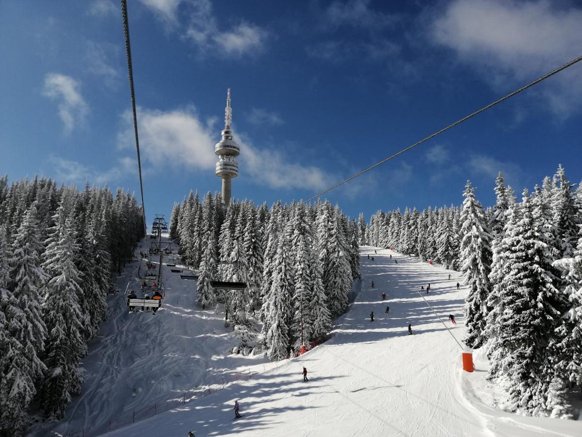 Forest Dream Apartment - Elit Pamporovo Exterior photo